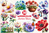 Anemone Flower Bloom Clipart Bundle