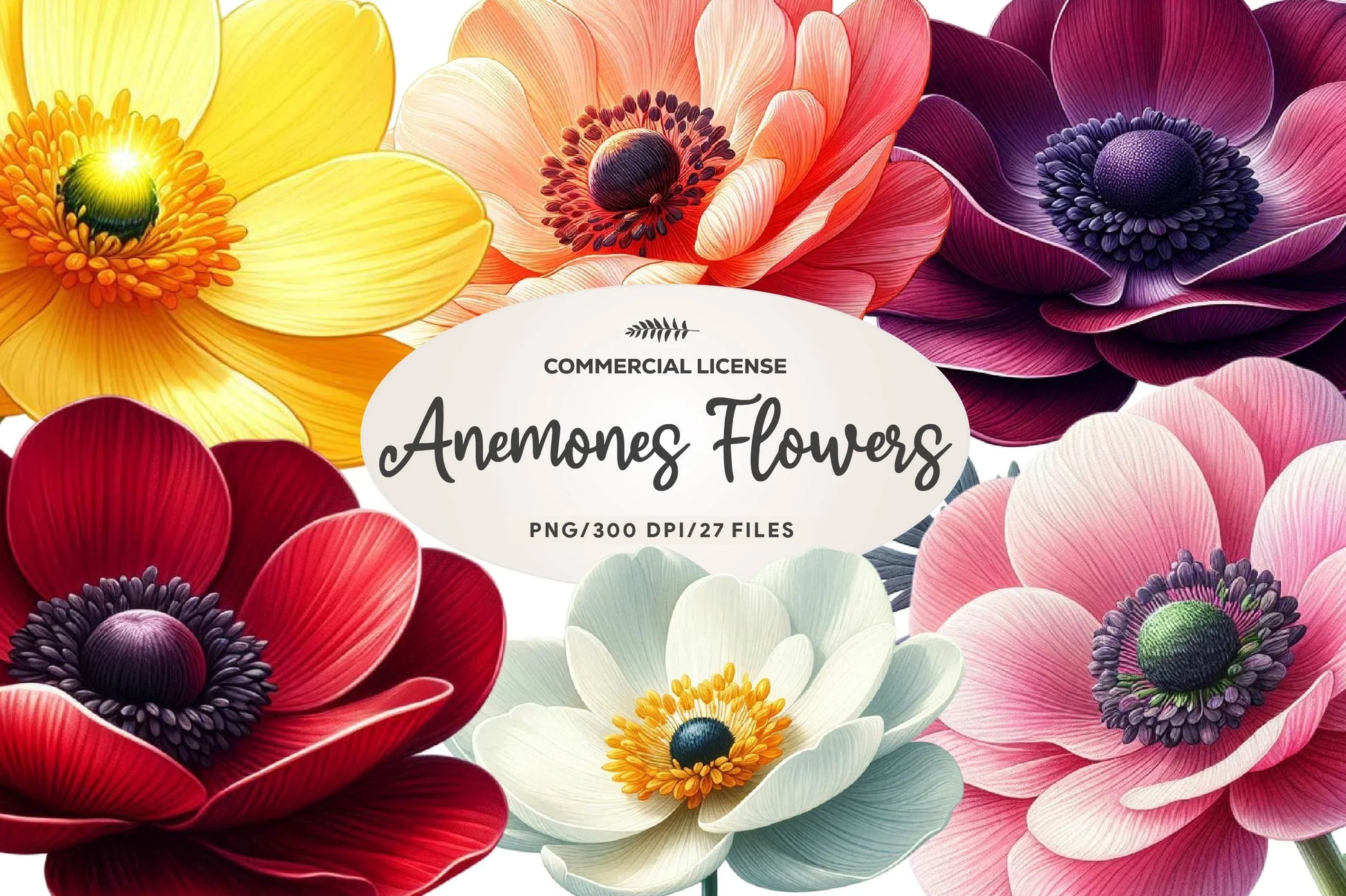 Spring Anemones Flowers Clipart Bundle - CraftNest - Digital Crafting and Art