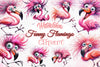 Funny Flamingo Cute Flamingo Clipart Bundle