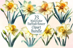 Daffodil Flower Clipart Bundle  99 - CraftNest - Digital Crafting and Art