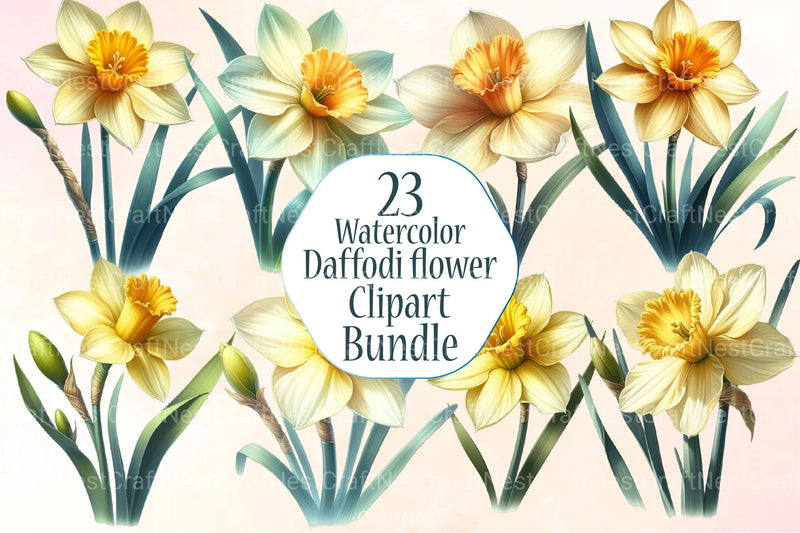 Daffodil Flower Clipart Bundle  99 - CraftNest - Digital Crafting and Art