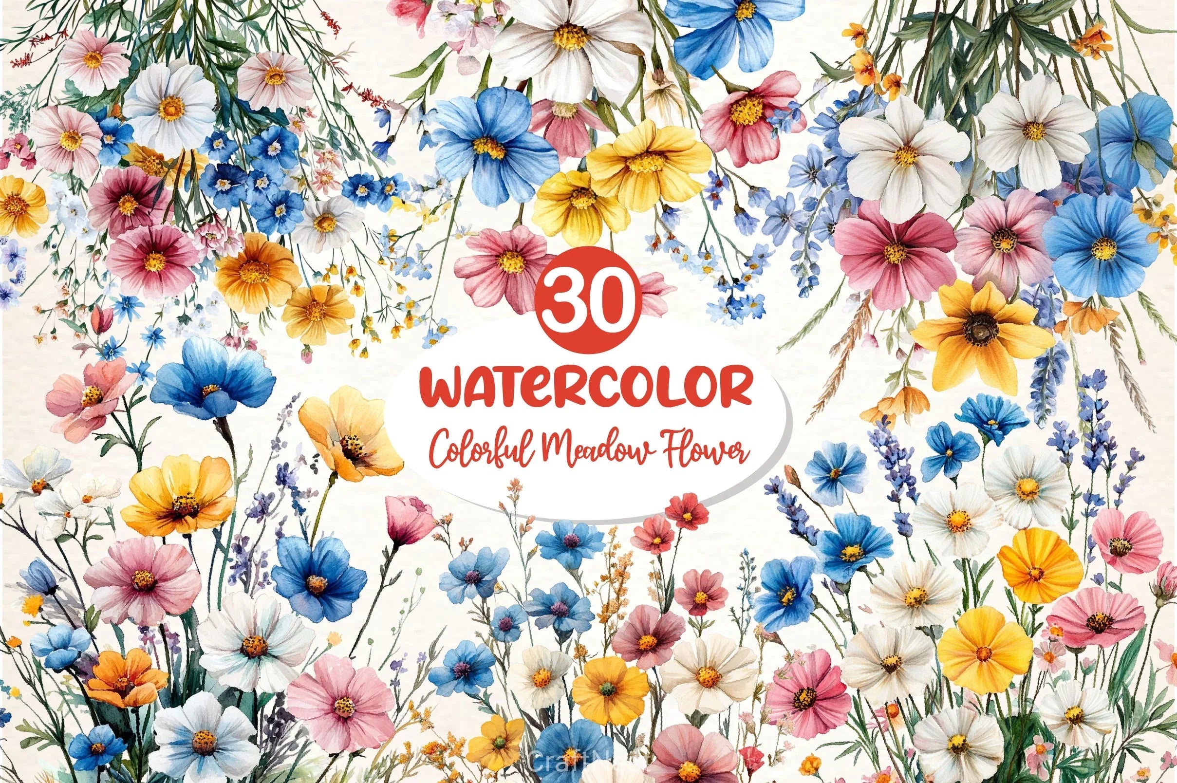 Colorful Meadow Flower Clipart Bundle 2 - CraftNest - Digital Crafting and Art
