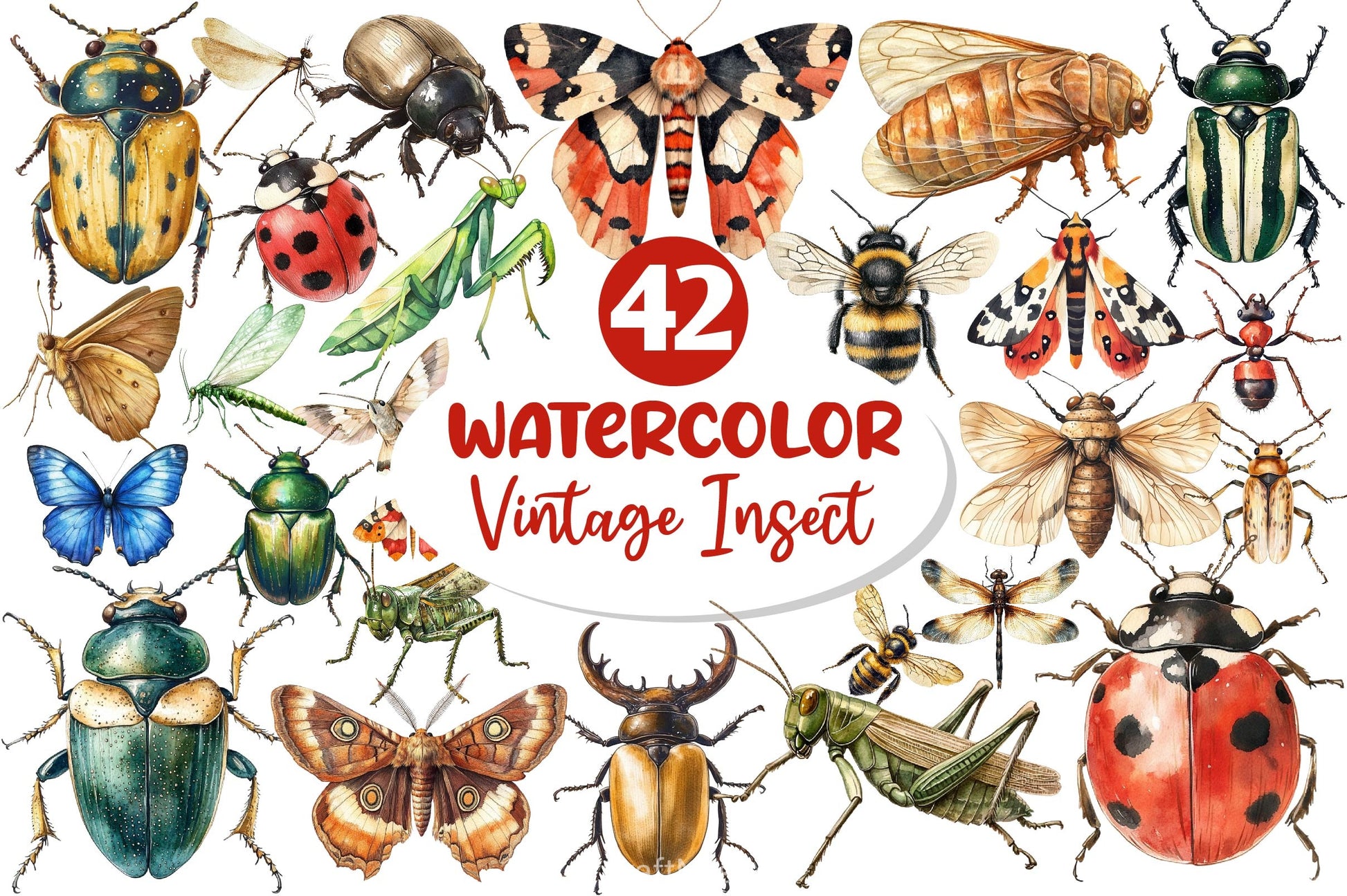 Vintage Insect Clipart Bundle - CraftNest - Digital Crafting and Art