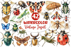 Vintage Insect Clipart Bundle - CraftNest - Digital Crafting and Art