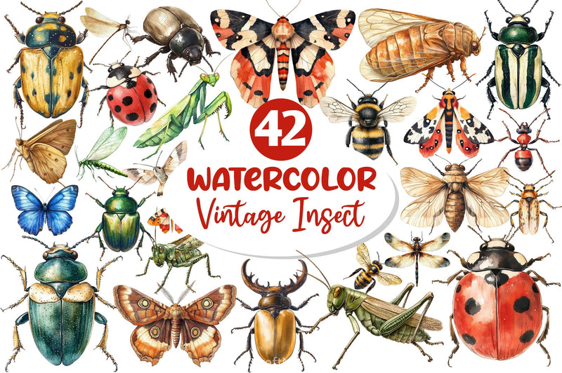 Vintage Insect Clipart Bundle - CraftNest - Digital Crafting and Art