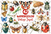 Vintage Insect Clipart Bundle