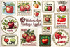 Vintage Apple Clipart Bundle