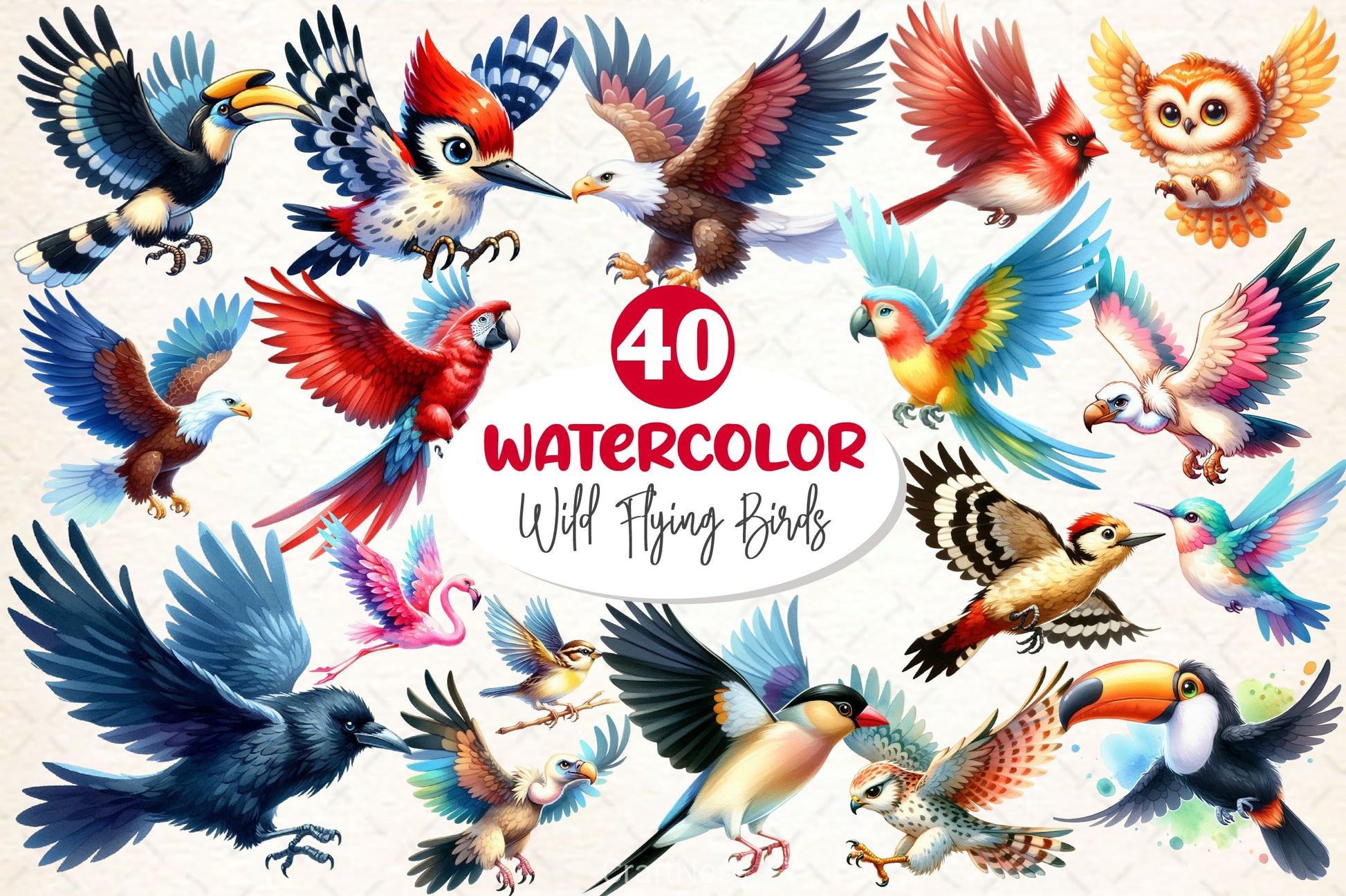 Wild Flying Birds Clipart Bundle - CraftNest - Digital Crafting and Art