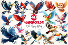 Wild Flying Birds Clipart Bundle - CraftNest - Digital Crafting and Art