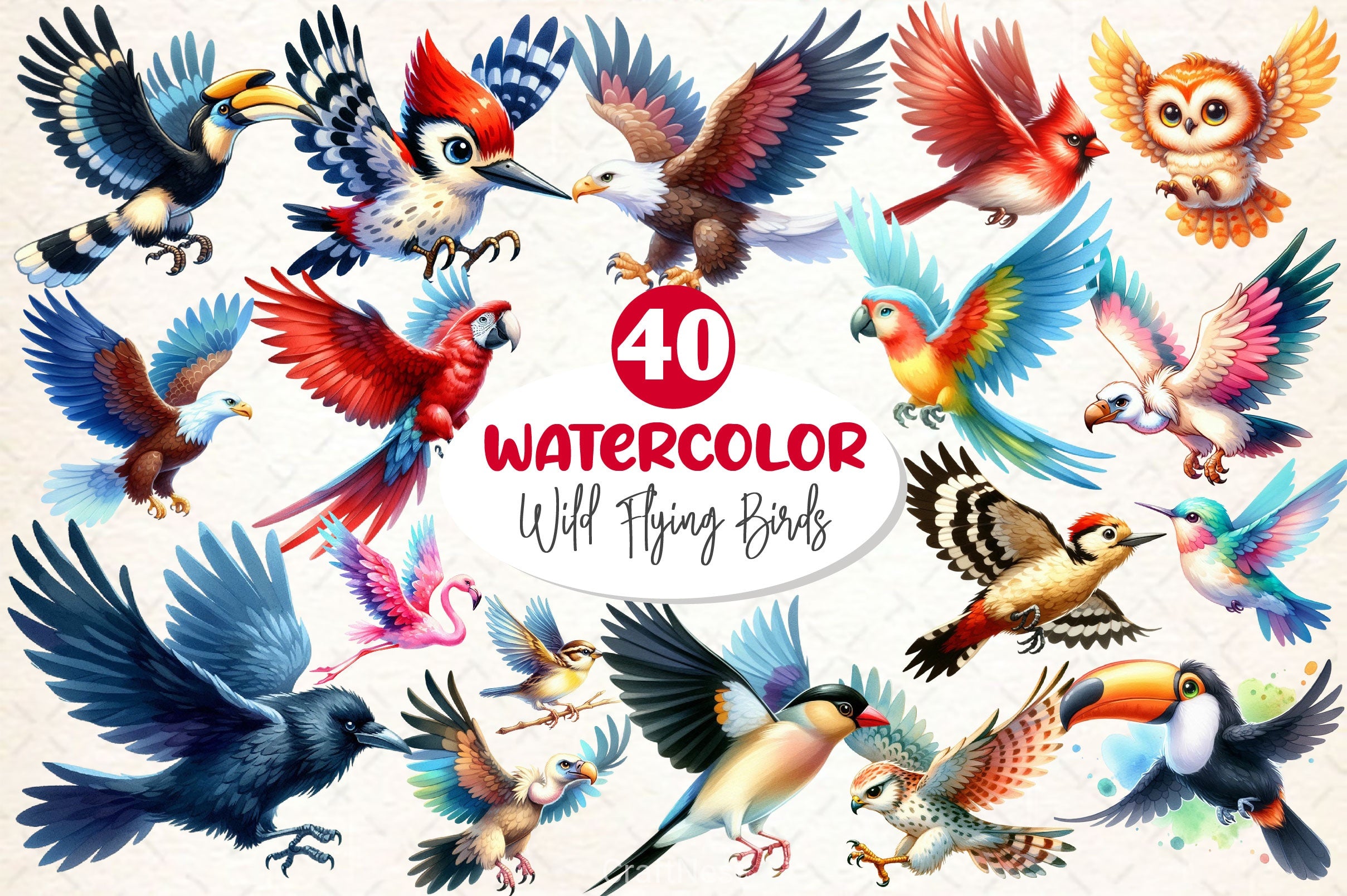 Wild Flying Birds Clipart Bundle - CraftNest - Digital Crafting and Art