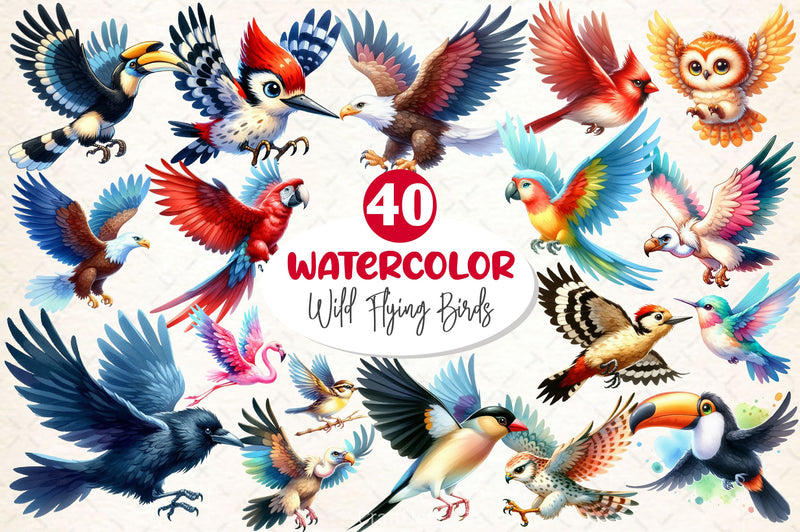 Wild Flying Birds Clipart Bundle - CraftNest - Digital Crafting and Art