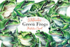 Green Frogs Clipart Bundle