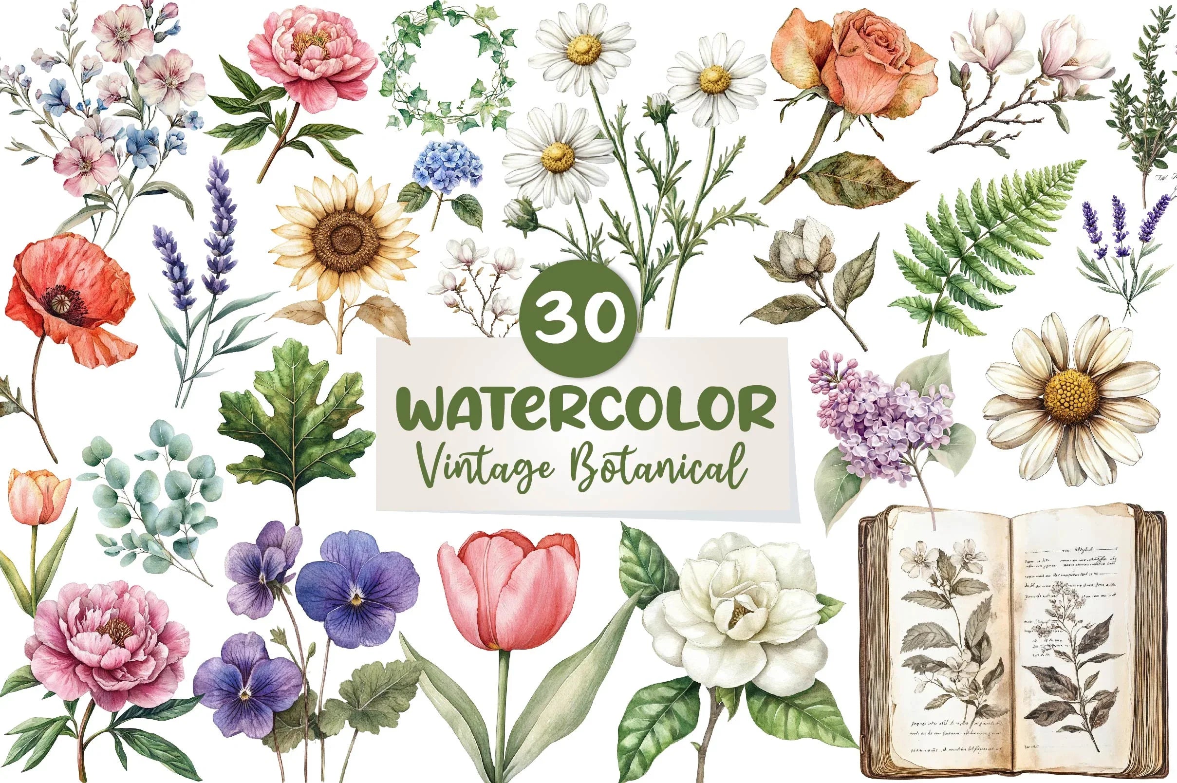 Vintage Botanical Clipart Bundle 1 - CraftNest - Digital Crafting and Art