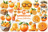 Oranges Clipart Bundle 2