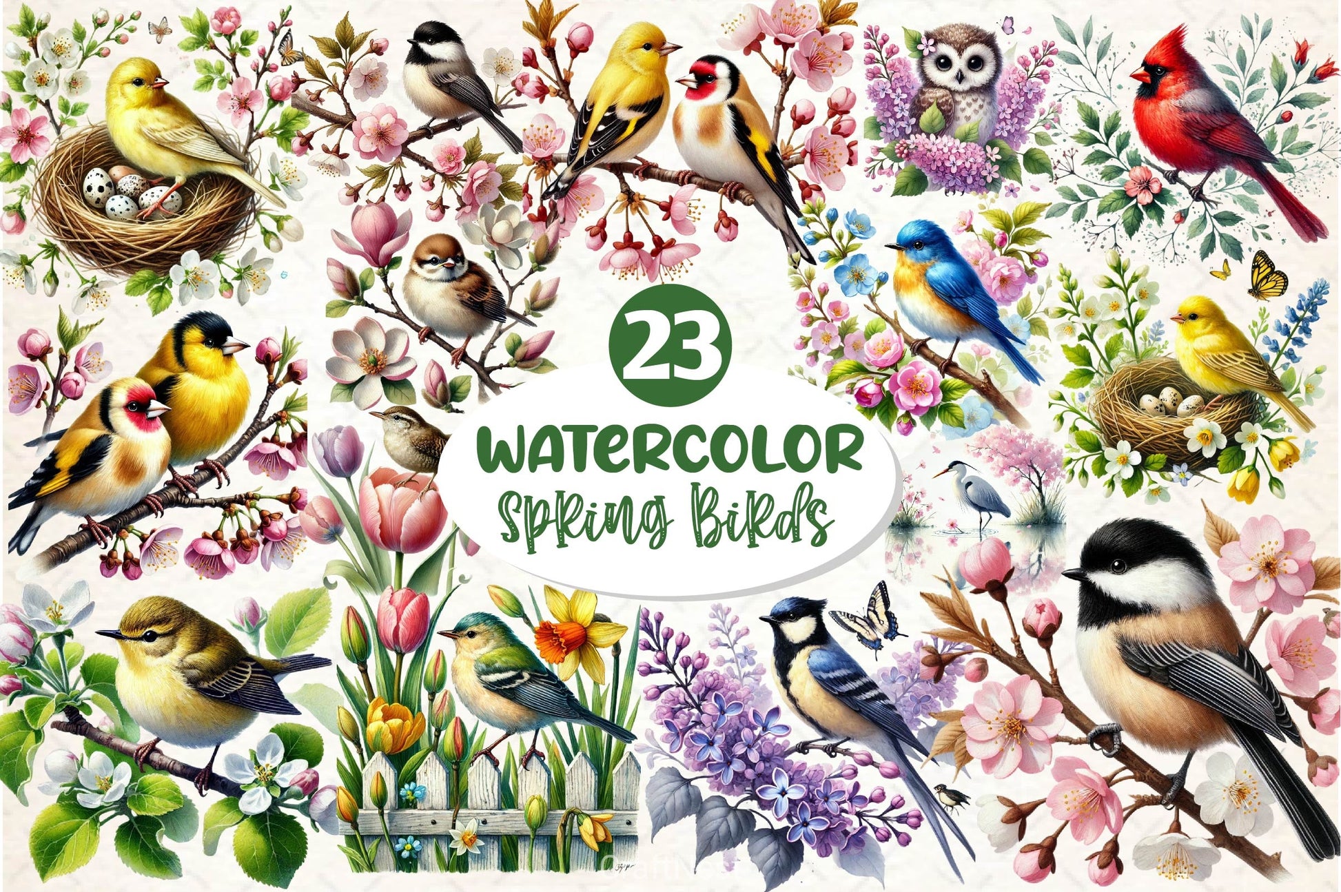 Spring Birds Clipart Bundle 3 - CraftNest - Digital Crafting and Art