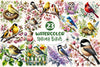 Spring Birds Clipart Bundle 3