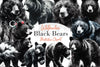 Black Bears Clipart Bundle