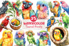 Tropical Parrots Clipart Bundle