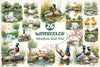 Springtime Duck Pond Clipart Bundle 2