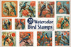 Asian Bird Postage Stamps Clipart Bundle