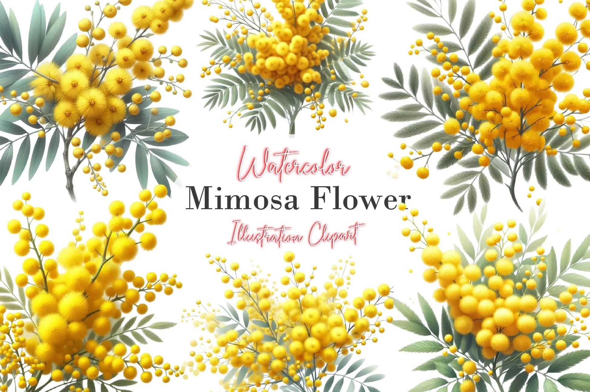 Mimosa Flower Clipart Bundle - CraftNest - Digital Crafting and Art