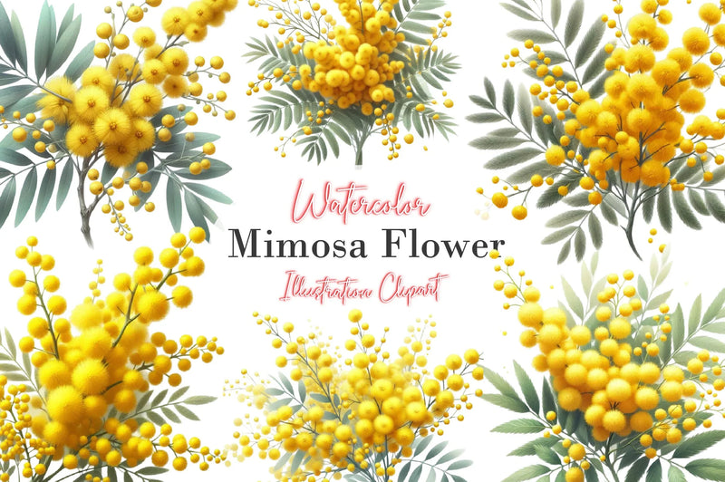 Mimosa Flower Clipart Bundle - CraftNest - Digital Crafting and Art