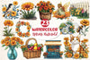 Spring Marigold Clipart Bundle