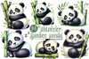 Bamboo Panda Cub Clipart Bundle