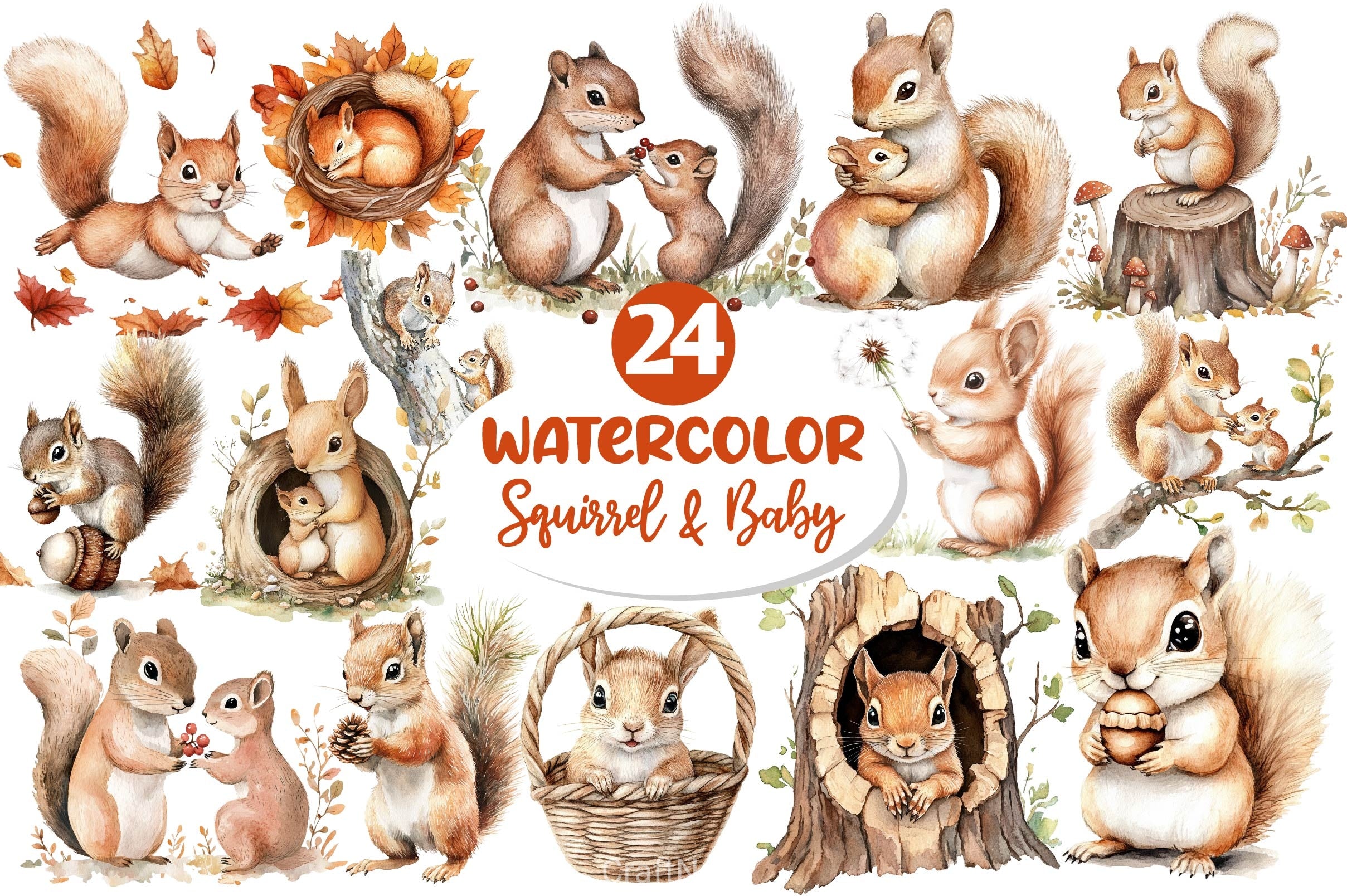 Squirrel Baby Clipart Bundle 2 - CraftNest - Digital Crafting and Art