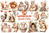 Squirrel Baby Clipart Bundle 2