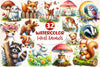 Woodland Forest Animals Clipart Bundle 8