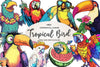 Funny Tropical Bird Clipart Bundle