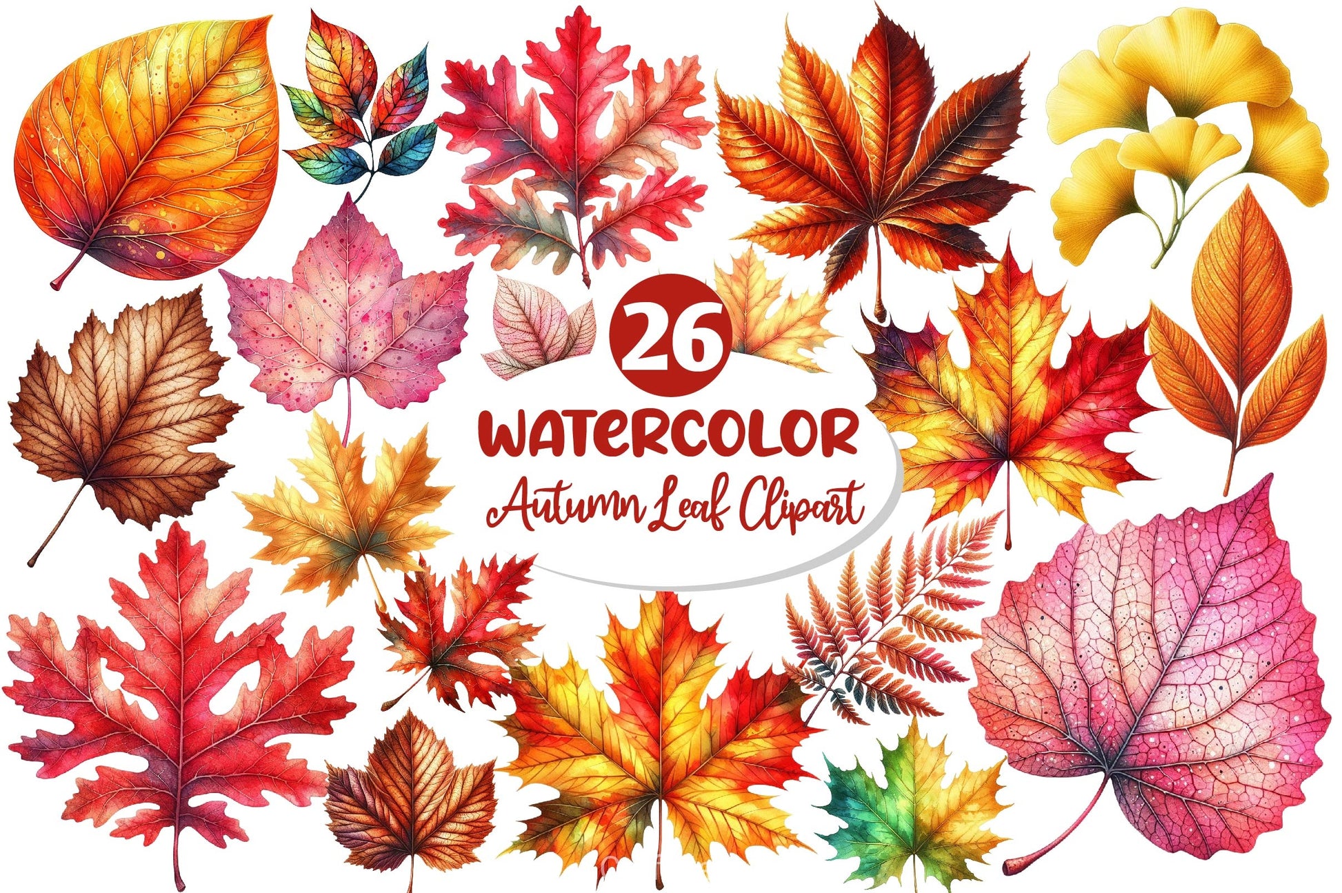 Autumn Leaf Clipart Bundle - CraftNest - Digital Crafting and Art