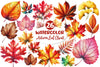 Autumn Leaf Clipart Bundle