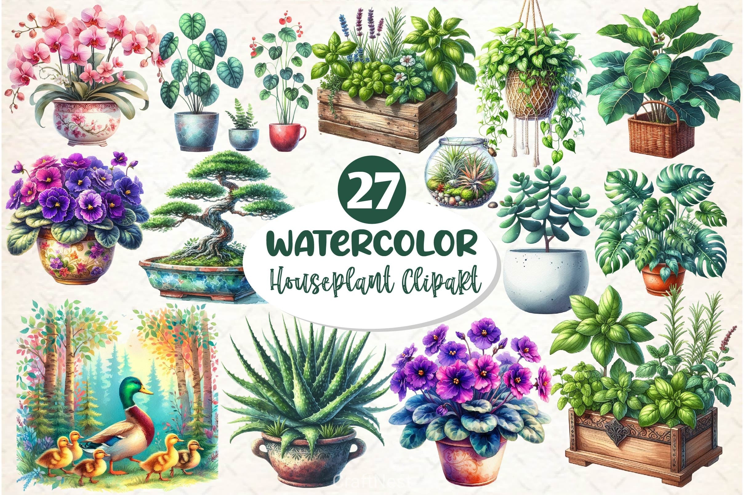 Houseplant Clipart Bundle 3 - CraftNest - Digital Crafting and Art