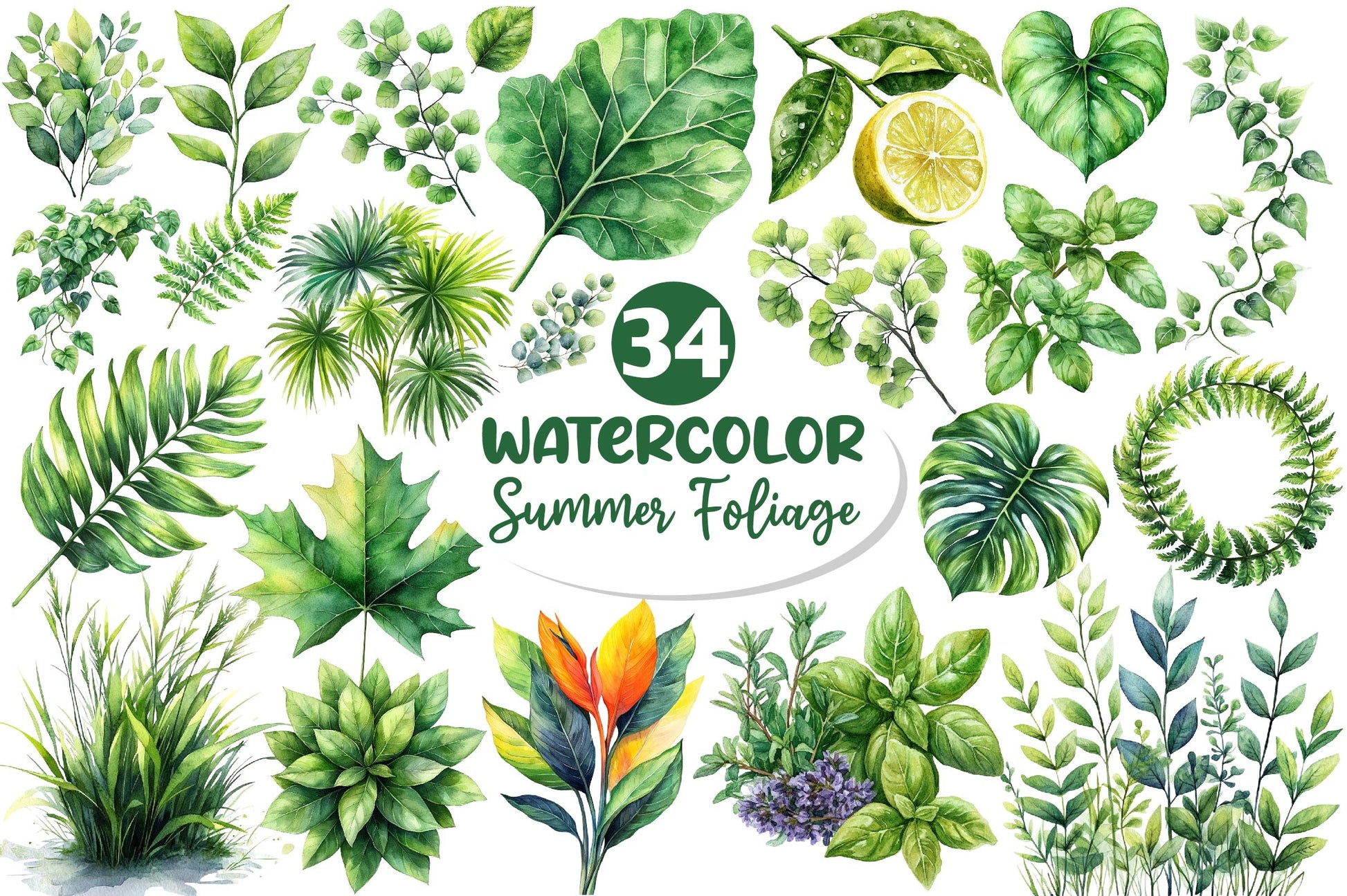 Green Summer Foliage Clipart Bundle 2 - CraftNest - Digital Crafting and Art