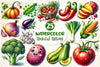 Vegetables Clipart Bundle 3