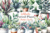 Potted Plants Clipart Bundle 1