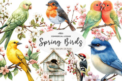 Spring Birds Clipart Bundle 1 - CraftNest - Digital Crafting and Art