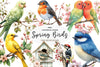 Spring Birds Clipart Bundle 1