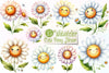 Cute Daisy Flower Clipart Bundle