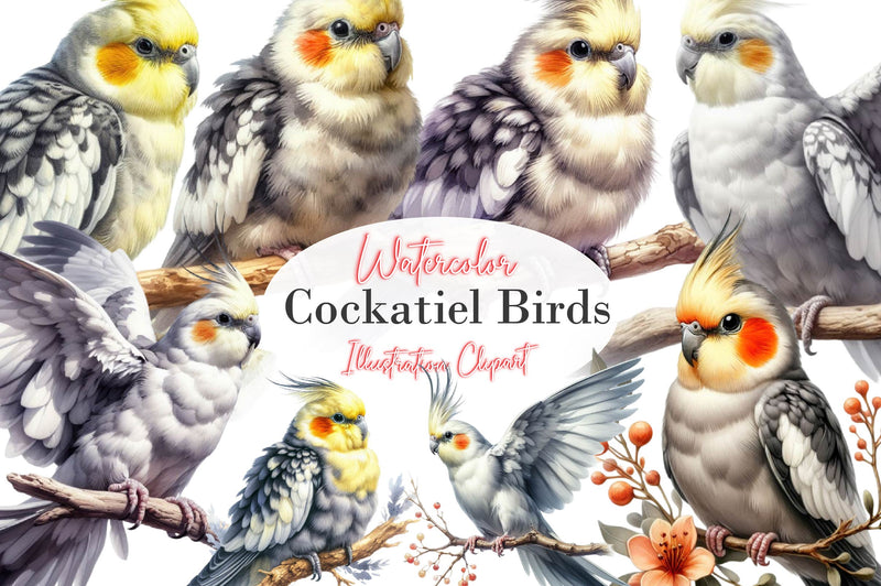 Cockatiel Clipart Bundle - CraftNest - Digital Crafting and Art