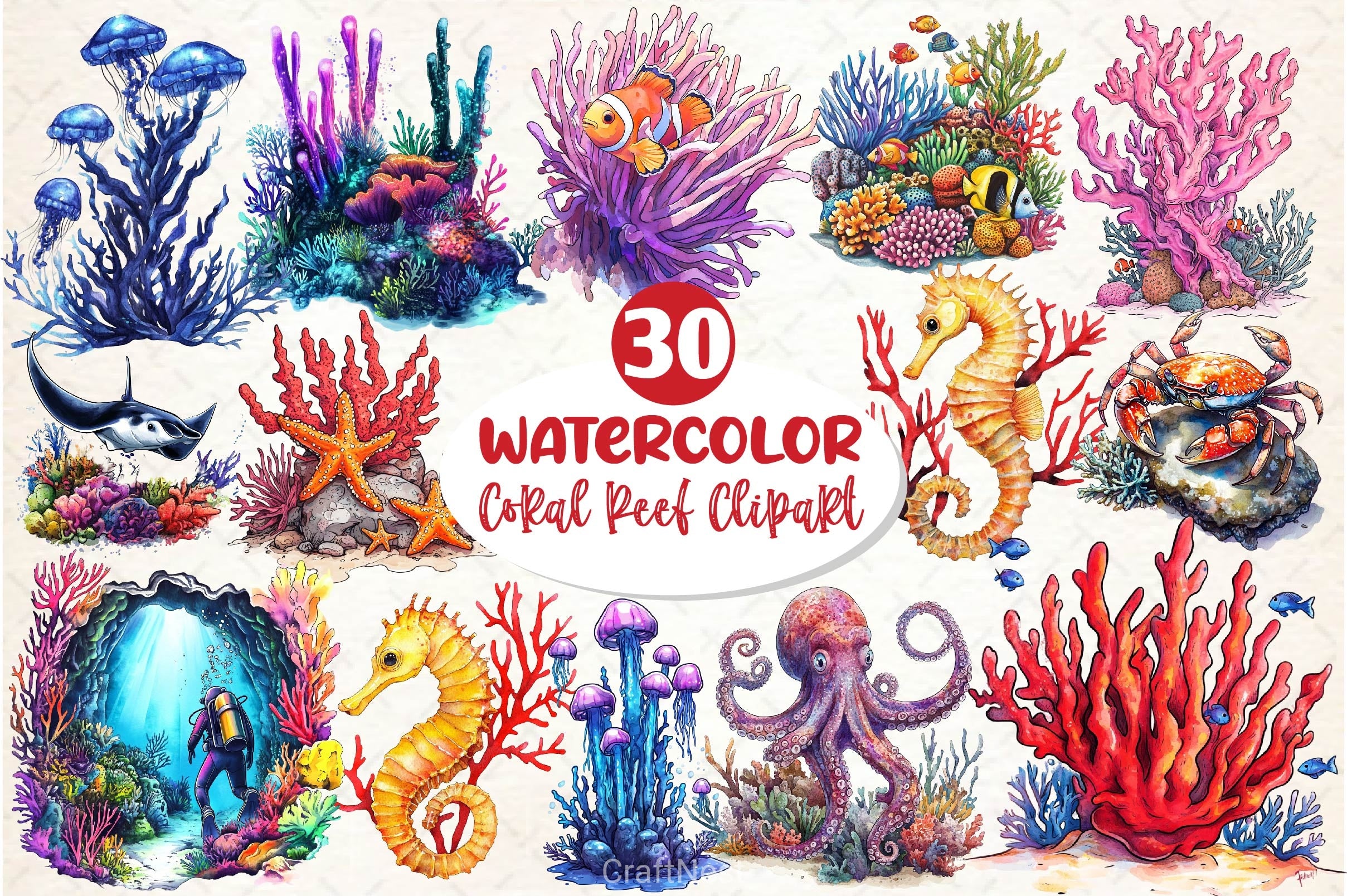 Coral Reef Clipart Bundle 2 - CraftNest - Digital Crafting and Art