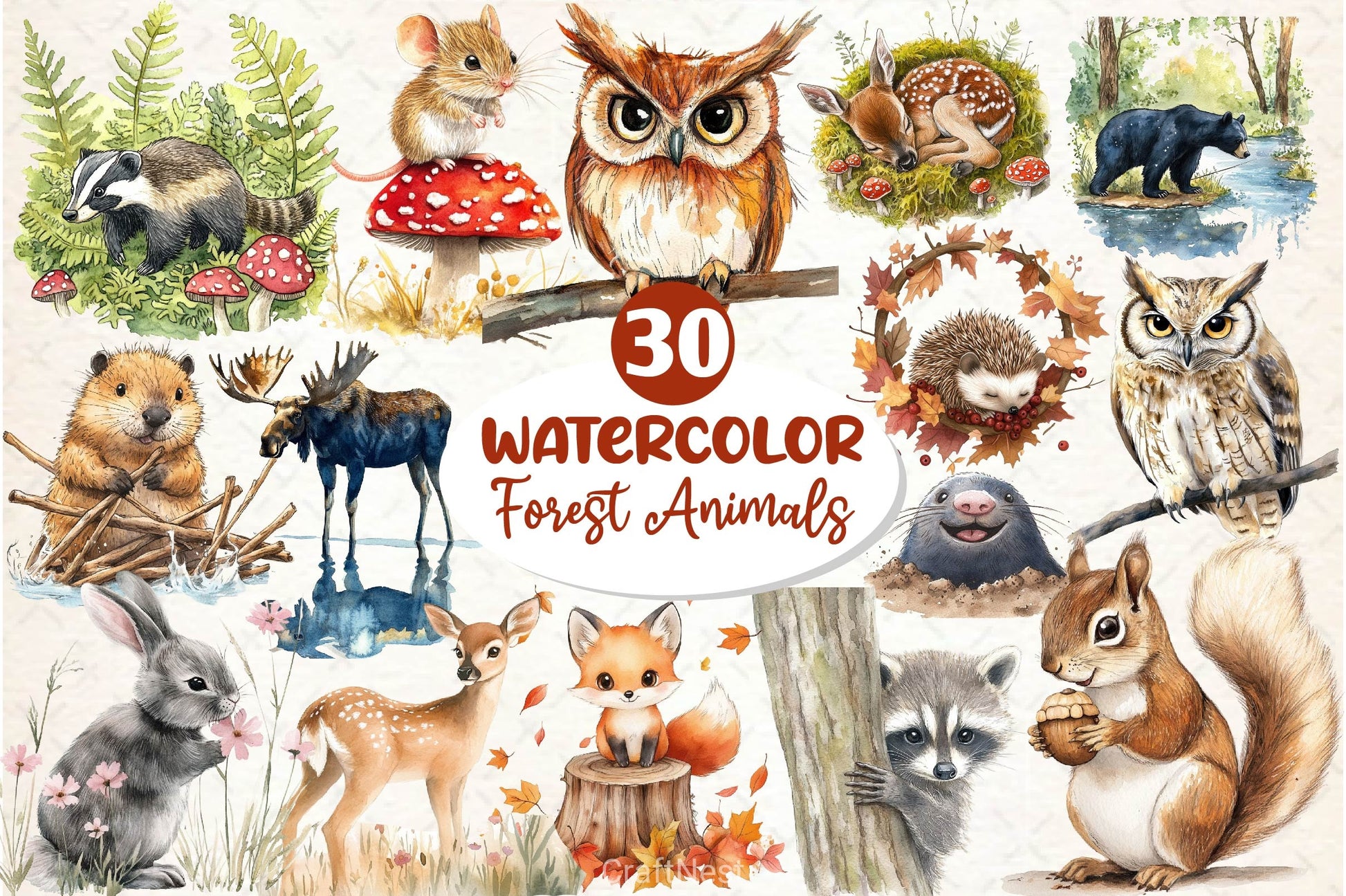 Woodland Forest Animals Clipart Bundle 7 - CraftNest - Digital Crafting and Art