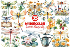Summer Dragonfly Garden Clipart Bundle 2 - CraftNest - Digital Crafting and Art