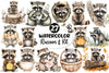 Raccoon Kit Clipart Bundle 2