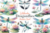 Dragonflies Clipart Bundle