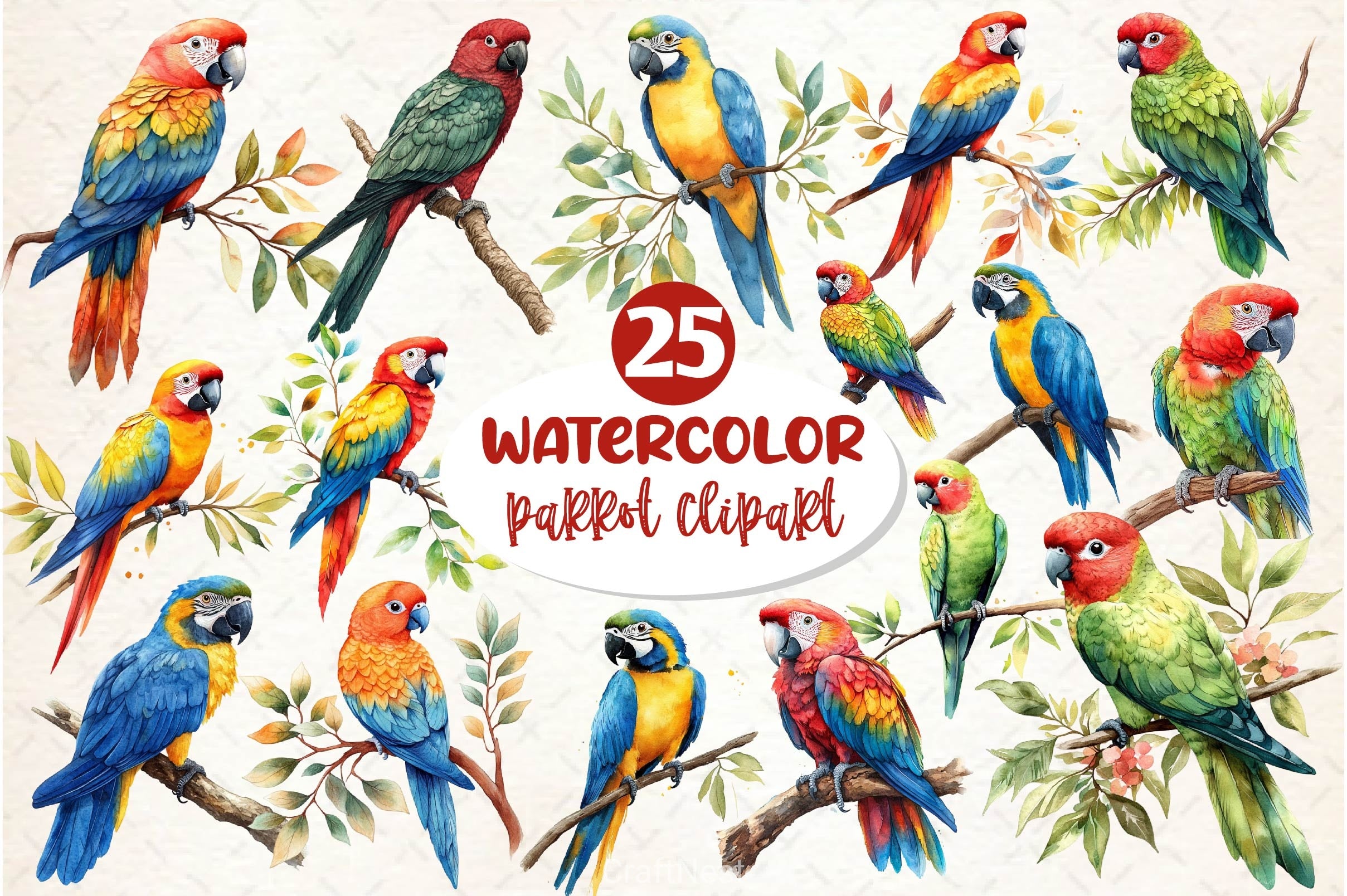Parrot Clipart Bundle - CraftNest - Digital Crafting and Art