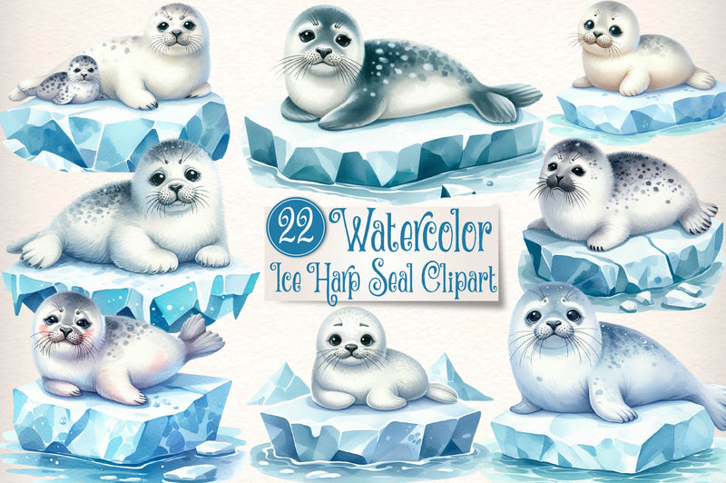 Ice Harp Seal Clipart Bundle - CraftNest - Digital Crafting and Art