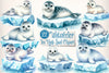 Ice Harp Seal Clipart Bundle